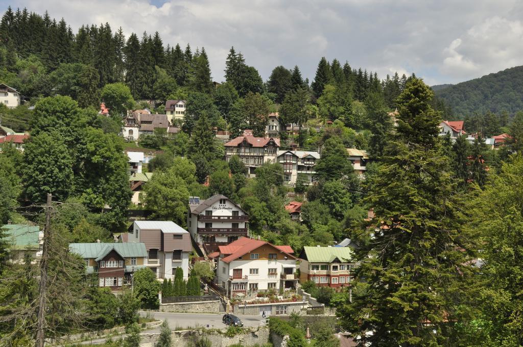 La Monitori Hotel Sinaia Værelse billede