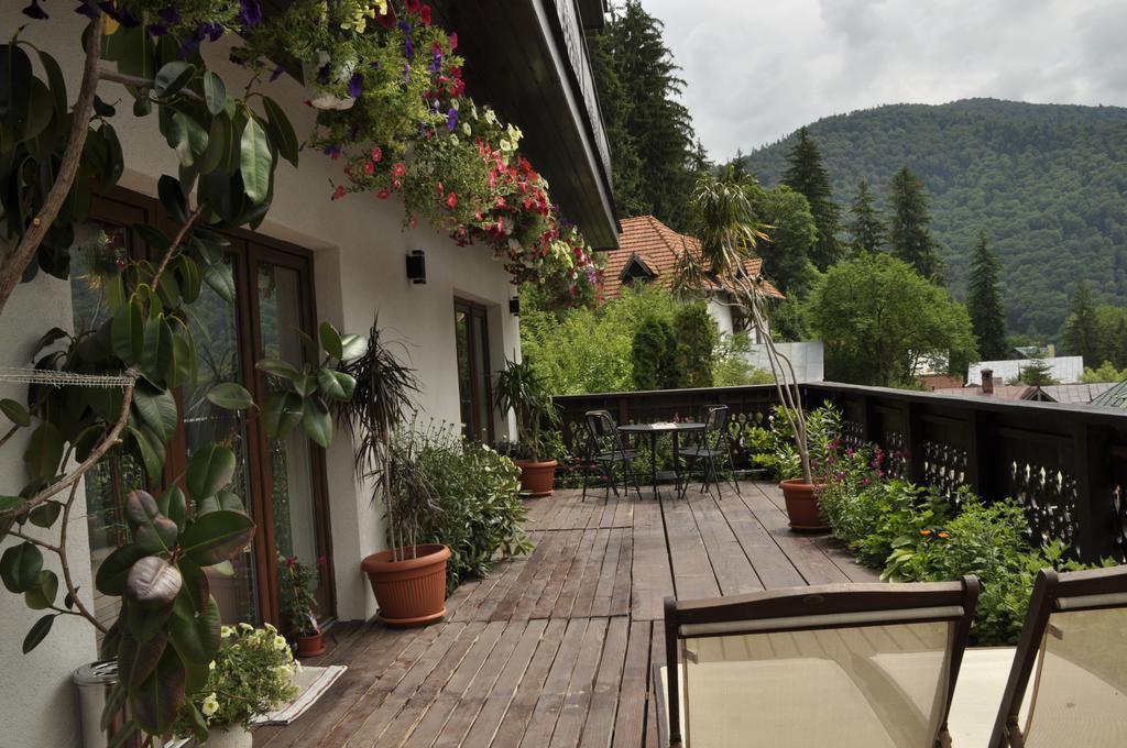 La Monitori Hotel Sinaia Værelse billede